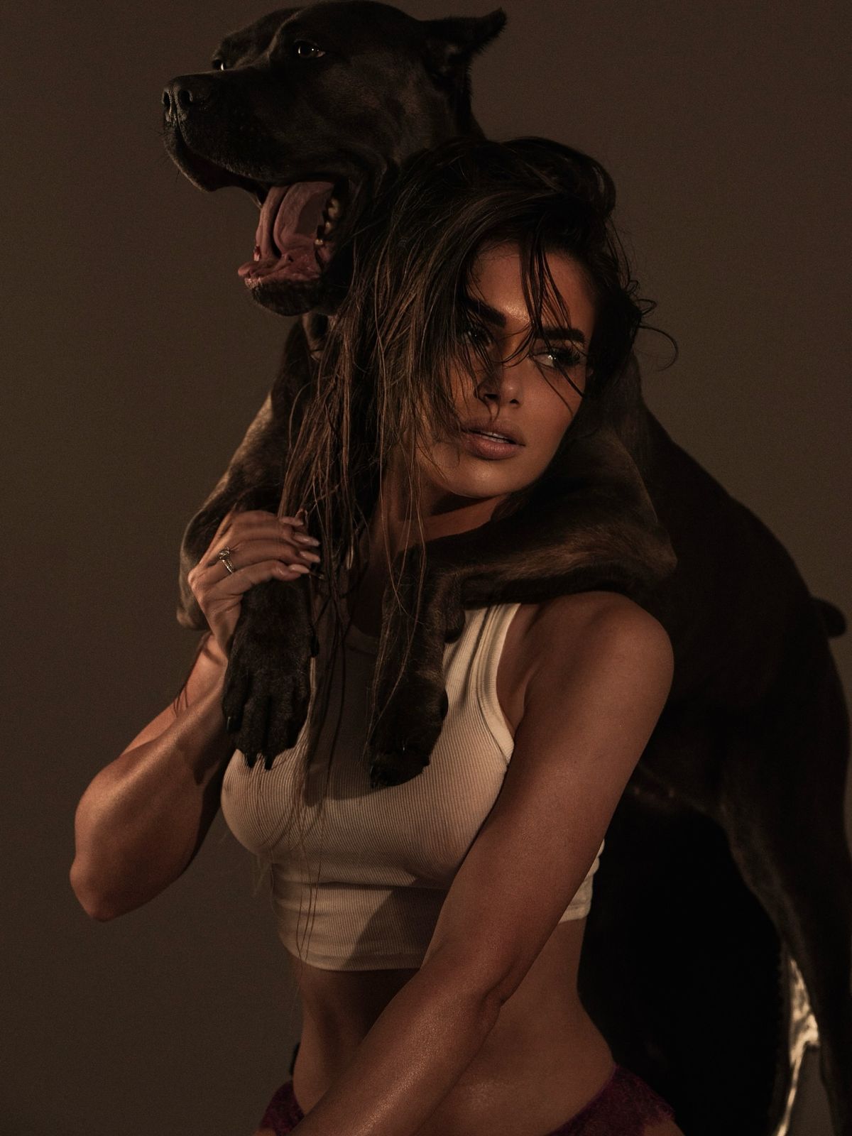 Doberman service dog in focused training session