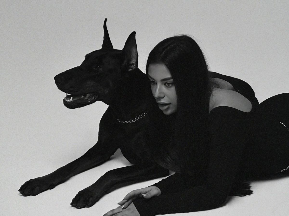 Professional dog trainer with a Belgian Malinois in California